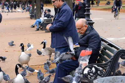 DSC_0658 (Large).JPG